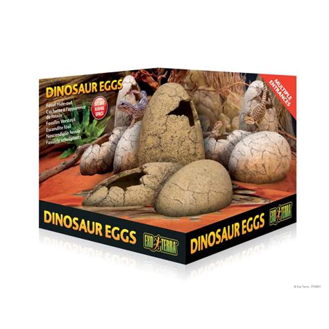 Huevos de dinosaurio escondite | Pet Box Guatemala