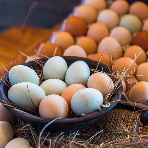 Huevos de Gallina Feliz y de Colores Bandeja 30 unidades | Granja Hakuna