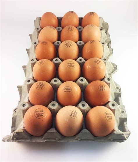 Huevos de gallina libre en pastoreo Colhue Bandeja 12 ...