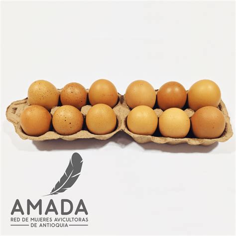 Huevos de gallina libre por 12 unidades   AMADA Avicultura