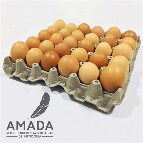 Huevos de gallina libre por 30 unidades   AMADA Avicultura