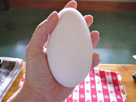 Huevos de ganso XXL: el tamaño  a veces  importa | Buenos Aires Market