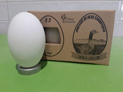 Huevos de oca  pack de 2  – Sin stock – Huevos de Oca ...