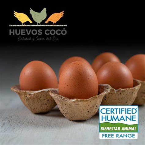 Huevos Gallinas Libre Pastoreo Certificadas • Amada Granel