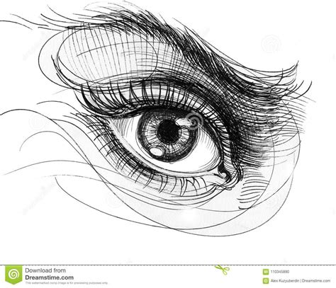 Human eye drawing stock illustration. Illustration of ...