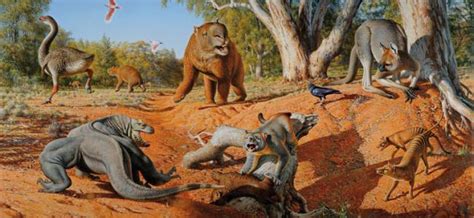 Humanos provocaron extinción de antiguas aves gigantes australianas ...