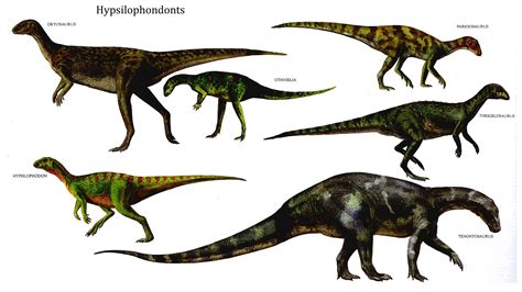 Hypsilophondonts   Herbivore Dinosaurs