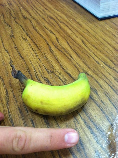 I found this extremely small banana today : mildlyinteresting