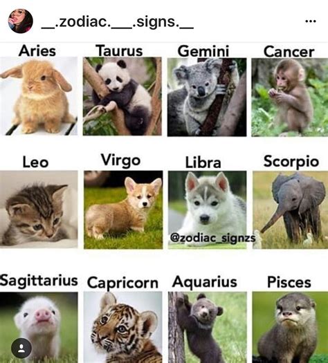 I love mine #gemini @__.zodiac.___.signs.__ | Zodiac signs animals ...