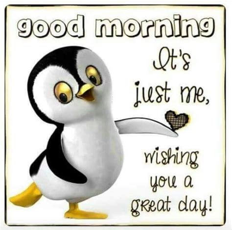 I Love Penguins | Morning quotes funny, Good day quotes, Good morning ...