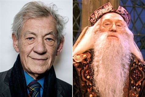 Ian McKellen as Dumbledore   All the Actors Who Could Have ...