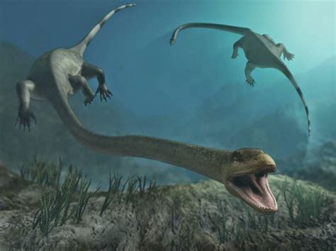 Ictiosaurios y Plesiosaurios | Jurassic Park Amino Amino