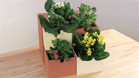 Idea para colocar plantas dentro de casa   Rubi & DO IT