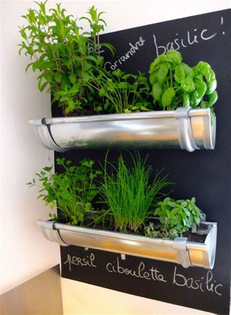 Ideas para cultivar plantas aromáticas decorando la cocina ...