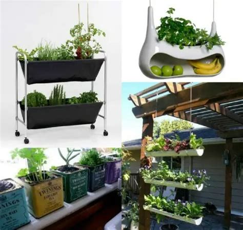 Ideas para cultivar plantas aromáticas en casa   El Blog ...