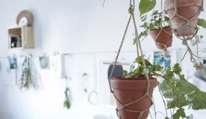 Ideas para decorar con plantas el dormitorio