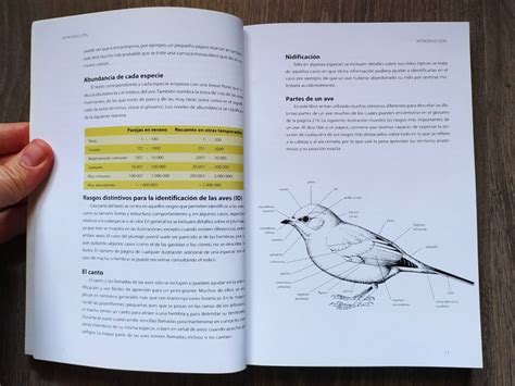 Identificación de aves por su color  reseña guías de campo  | Fray Sulfato