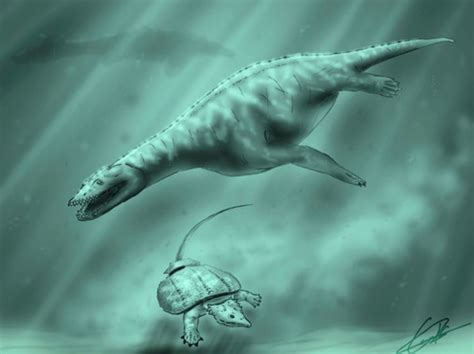 Identificados los fósiles de reptiles marinos que habitaban la ...