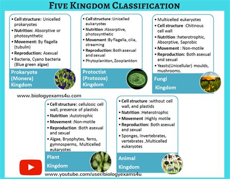 IGCSE Biology Notes on Five Kingdom Characteristics ...