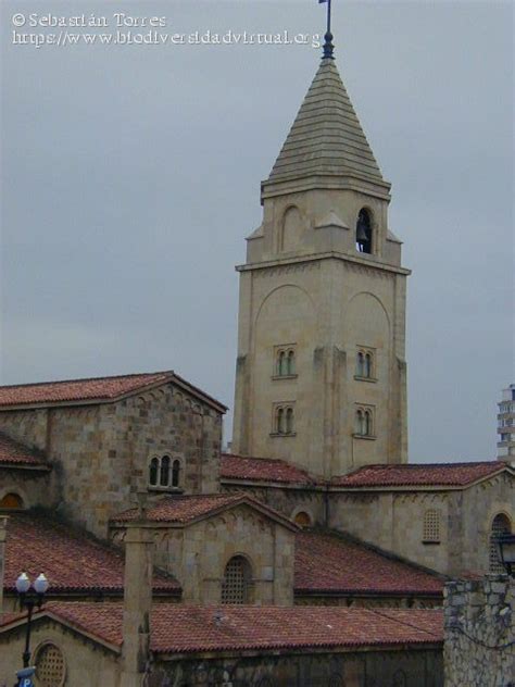 Iglesia Mayor de San Pedro, Gijón  Asturias    63627 ...