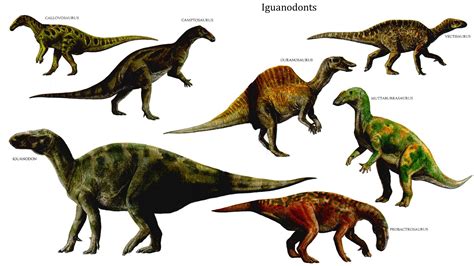 Iguanodonts   Herbivore Dinosaurs
