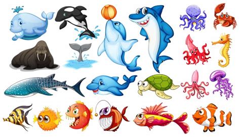 Illustration of different kind of sea animals Vector ...