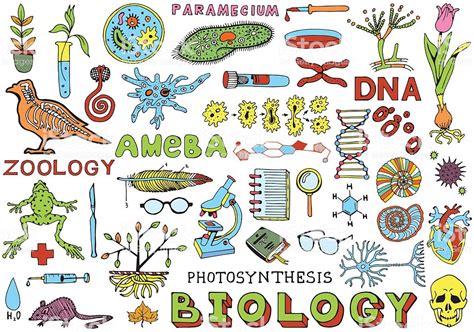 Ilustración de Biología Ciencia Garabato Mano Dibujar ...