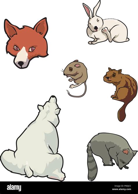 Ilustración vectorial de dibujos animados de un zoológico de mamíferos ...