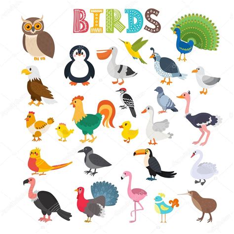 Ilustración vectorial de diferentes tipos de aves. Lindo ...