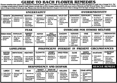 Image result for bach flower body maps pdf  With images ...