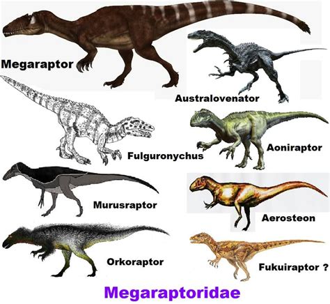 Image result for megaraptor fossils | Prehistoric animals ...