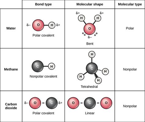 Image result for polar vs nonpolar molecules | Chemical ...