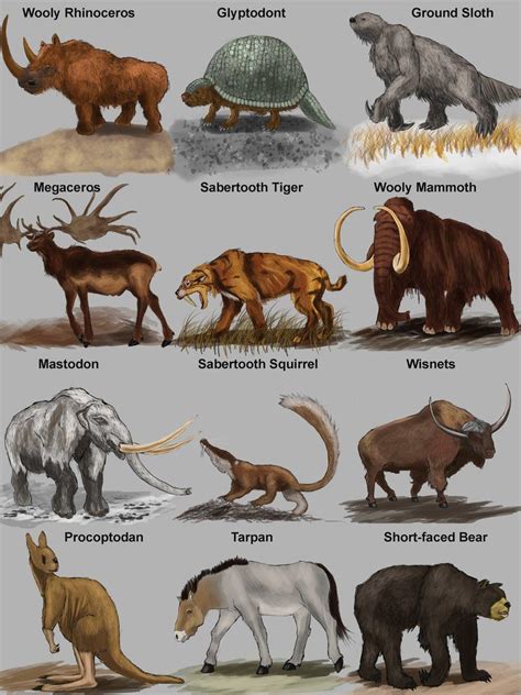 Image result for prehistoric mammals | Prehistoric animals, Ancient ...