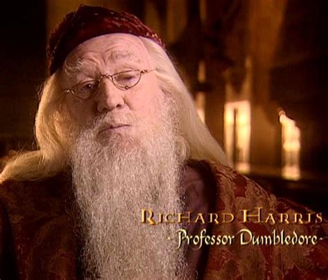 Image   Richard Harris  Professor Dumbledore  CoS ...