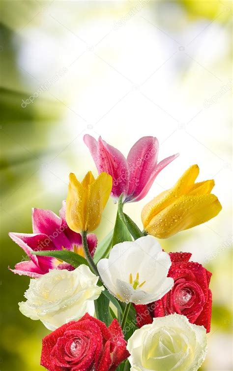 Imagem de flores bonitas no jardim closeup — Stock Photo ...