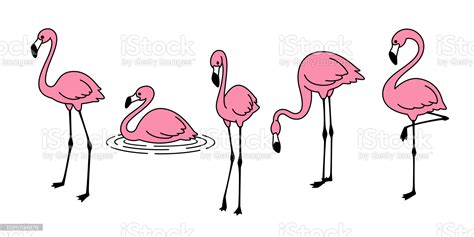 Imagen de Dibujos animados vector flamencos rosados flamencos lindo set ...