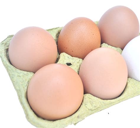 Imagen de Huevera con 5 Huevos Colorados y Un huevo Blanco   【FOTO ...