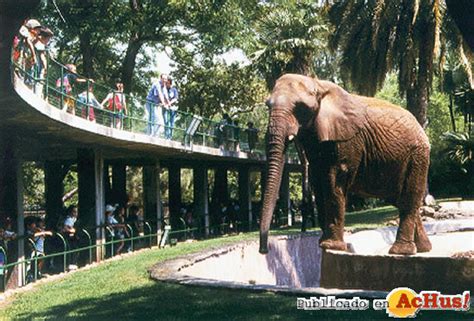 Imagen de Zoo de Barcelona Eelefante