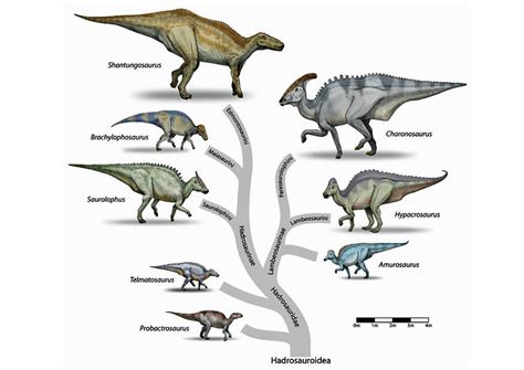 Imagen Evolución de los dinosaurios   Imágenes Para Imprimir Gratis ...