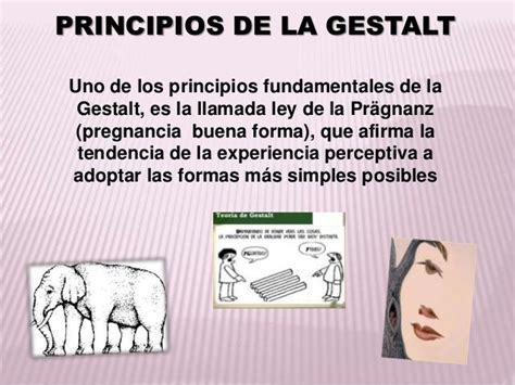 Imagen relacionada | Leyes de la gestalt, Pregnancia ...