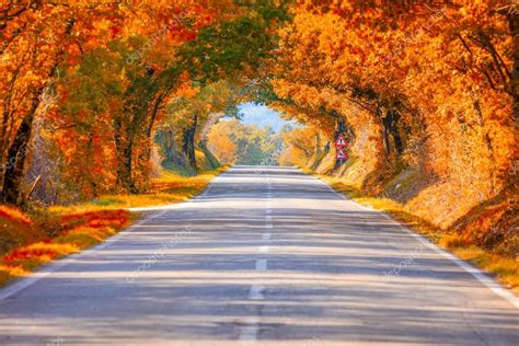 Imágenes: camino de arboles en otoño | Paisaje de otoño ...