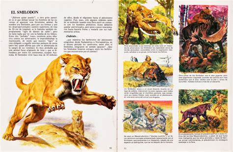 Imagenes De Animales De La Prehistoria