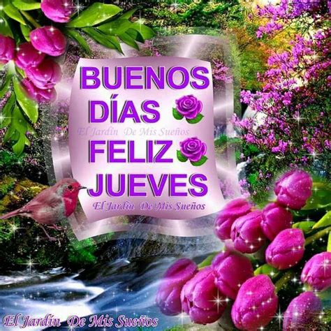 Imágenes de Buenos días feliz jueves amigos | Descargar ...