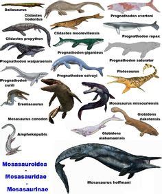 imagenes de dinosaurios acuaticos con nombres | Prehistórico ...