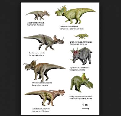 imagenes de dinosaurios con nombres científicos ...
