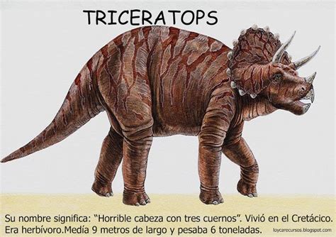 Imagenes De Dinosaurios Reales