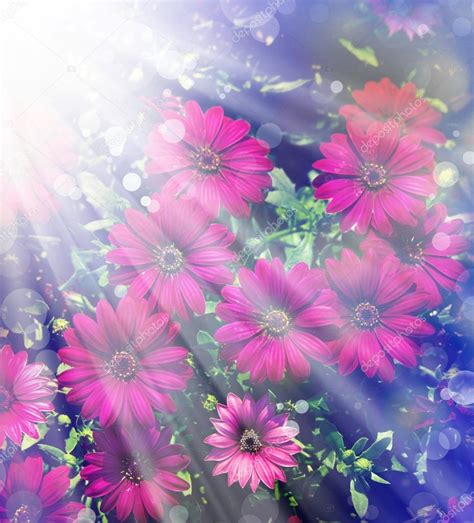 Imagenes de flores hermosas | Imagenesdeamor.pics
