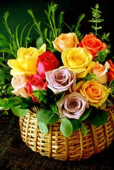 Imagenes De Flores Para Felicitar Por Whatsapp