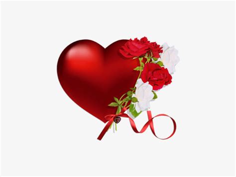 Imágenes de flores y rosas con Frases de amor HERMOSAS