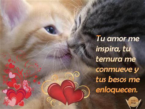 Imágenes de gatos con frases de amor | sitiomega.com